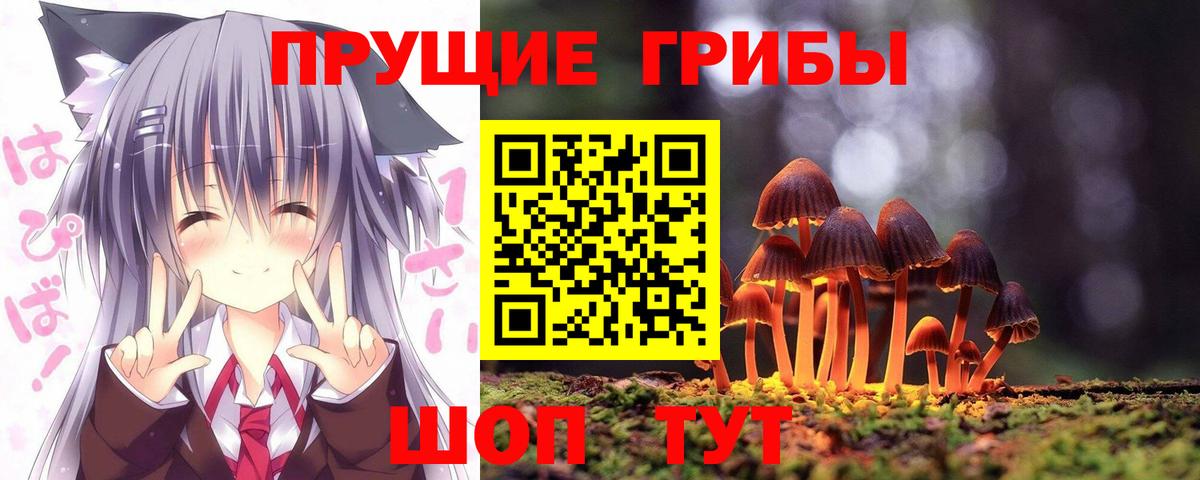 Норильск  Псилоцибиновые грибы Magic Shrooms  Вход с VPN 
